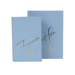 Set 2 cutii cu forma de carte, culoare bleu, B.S.P. / SL940_5