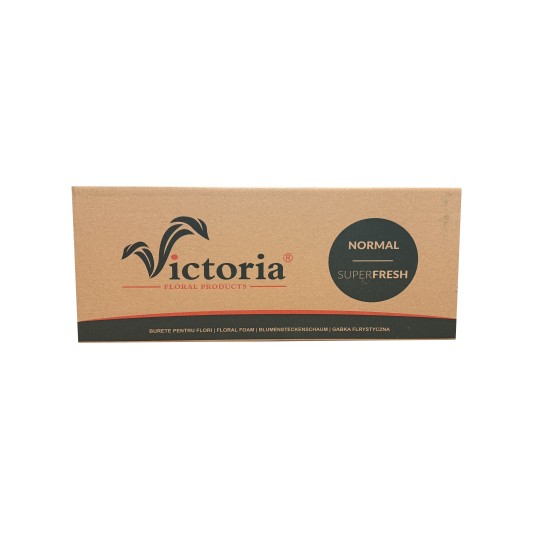 Burete floristic, Victoria, 23x11x8 cm, B.S.P. / 2167