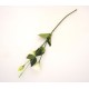 Fir Lisianthus artificial, culoare alb, H 65 cm, B.S.P. / AN 036-1