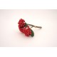 Buchet bobite, culoare rosu, H 30 cm, B.S.P. / AN039-3