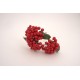 Buchet bobite, culoare rosu, H 30 cm, B.S.P. / AN039-3