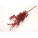 Fir eucalipt artificial, culoare rosu, H 65 cm, B.S.P. / AN043-2