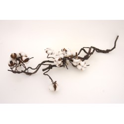 Creanga artificiala cu flori de bumbac naturale, H 90 cm, B.S.P. / AN082