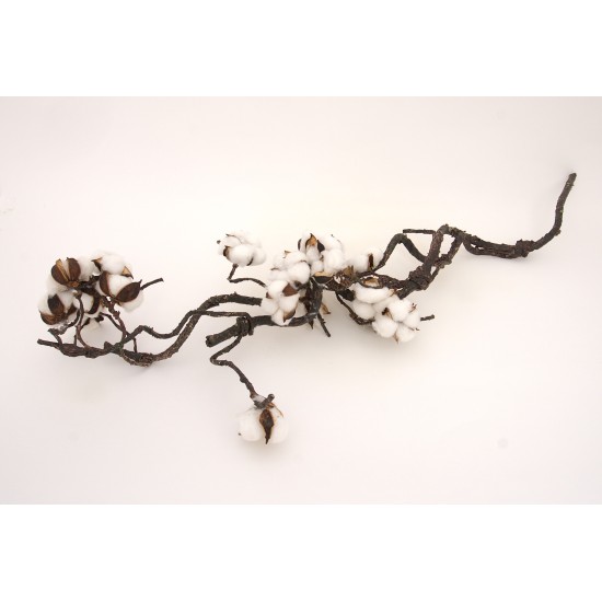 Creanga artificiala cu flori de bumbac naturale, H 90 cm, B.S.P. / AN082