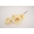 Fir flori artificiale, culoare crem, H 50 cm, B.S.P. / AN101-2