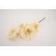 Fir flori artificiale, culoare crem, H 50 cm, B.S.P. / AN101-2