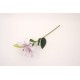 Fir crin din silicon, culoare alb + lila, H 50 cm, B.S.P. / AN107-4