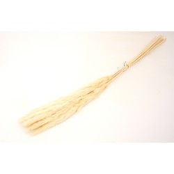Buchet pampas natural, culoare crem, H 70, B.S.P. / AN154