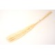 Buchet pampas natural, culoare crem, H 70, B.S.P. / AN154