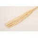 Buchet pampas natural, culoare crem, H 70, B.S.P. / AN154