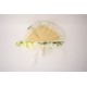 Evantai Decorativ Premium cu Flori și Perle, 40X30 cm, B.S.P. / AN185