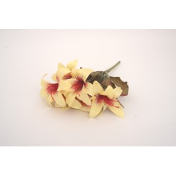 Buchet crin artificial, culoare crem, H 35 cm, B.S.P. / CD2063-2