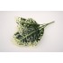 Buchet verdeata, model pestrit, culoare alb, H 40 cm, B.S.P. / CD2970-1