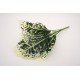 Buchet verdeata, model pestrit, culoare alb, H 40 cm, B.S.P. / CD2970-1