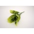 Buchet verdeata, model pestrit, culoare verde, H 40 cm, B.S.P. / CD2970-2