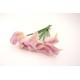 Buchet 10 cale din silicon, culoare roz , H 35 cm, B.S.P. / CD4186-6