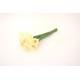 Buchet 10 cale din silicon, culoare crem, H 35 cm, B.S.P. / CD4186-1