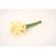 Buchet 10 cale din silicon, culoare crem, H 35 cm, B.S.P. / CD4186-1