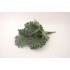 Buchet verdeata artificiala, H 35 cm, B.S.P. / CD4480