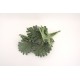 Buchet verdeata artificiala, H 35 cm, B.S.P. / CD4480