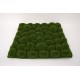 Panou verde cu muschi artificiali, 50x50 cm, B.S.P. / SL1117