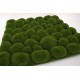 Panou verde cu muschi artificiali, 50x50 cm, B.S.P. / SL1117