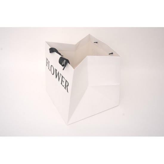 Set 2 pungi pentru flori, culoare alb, 25x25x25 cm, B.S.P. / SL1226-1