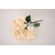 Hortensie artificiala, culoare crem, H 40 cm / SL1278-3