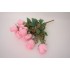 Buchet 12 capete trandafir, culoare roz, H 50 cm, B.S.P. / SL1301-2