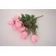 Buchet 12 capete trandafir, culoare roz, H 50 cm, B.S.P. / SL1301-2