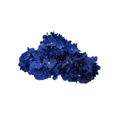 Hortensie artificiala, culoare albastru, H 50 cm / SL1400_2