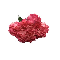 Hortensie artificiala, 6 capete, culoare roz, H 50 cm / SL1400_3