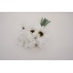 Buchet 9 margarete, culoare alb, H 38 cm, B.S.P. / SL1402