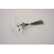 Buchet 9 margarete, culoare alb, H 38 cm, B.S.P. / SL1402