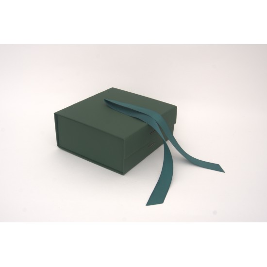 Cutie pentru cadouri, culoare verde, 20x18.5x8 cm, B.S.P. / SL1559-5