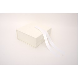 Cutie pentru cadouri, culoare alb, 20x18.5x8 cm, B.S.P. / SL1559-1