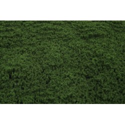 Panou verdeata, culoare verde inchis, 50x50 cm, B.S.P. / SL1654-2