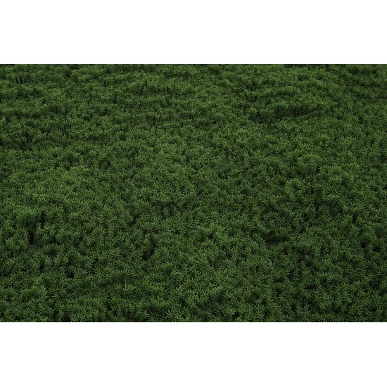 Panou verdeata, culoare verde inchis, 50x50 cm, B.S.P. / SL1654-2