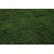 Panou verdeata, culoare verde inchis, 50x50 cm, B.S.P. / SL1654-2