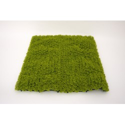 Panou verdeata, culoare verde deschis, 50x50 cm, B.S.P. / SL1654-1