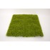Panou verdeata, culoare verde deschis, 50x50 cm, B.S.P. / SL1654-1