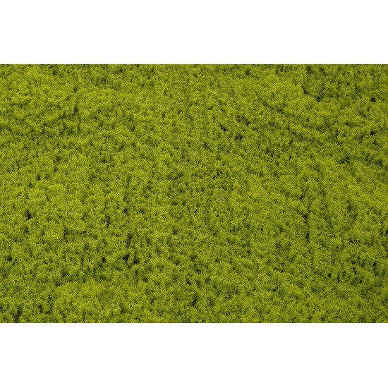 Panou verdeata, culoare verde deschis, 50x50 cm, B.S.P. / SL1654-1