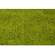 Panou verdeata, culoare verde deschis, 50x50 cm, B.S.P. / SL1654-1