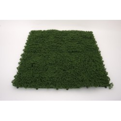Panou verdeata, culoare verde inchis, 50x50 cm, B.S.P. / SL1654-2