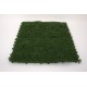 Panou verdeata, culoare verde inchis, 50x50 cm, B.S.P. / SL1654-2