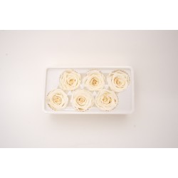 Set 6 trandafiri criogenati, culoare crem, Ø5-6 cm, B.S.P. / SL1685-3