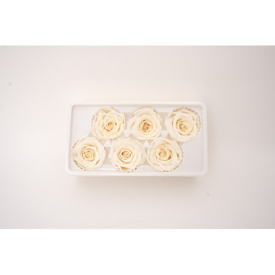 Set 6 trandafiri criogenati, culoare crem, Ø5-6 cm, B.S.P. / SL1685-3