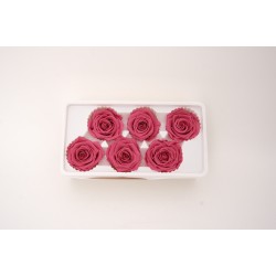 Set 6 trandafiri criogenati, culoare roz pudra, Ø5-6 cm, B.S.P. / SL1685-5