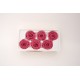 Set 6 trandafiri criogenati, culoare roz pudra, Ø5-6 cm, B.S.P. / SL1685-5