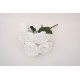 Buchet bujori artificiali, culoare alb, H 45 cm, B.S.P. / SL1786-1